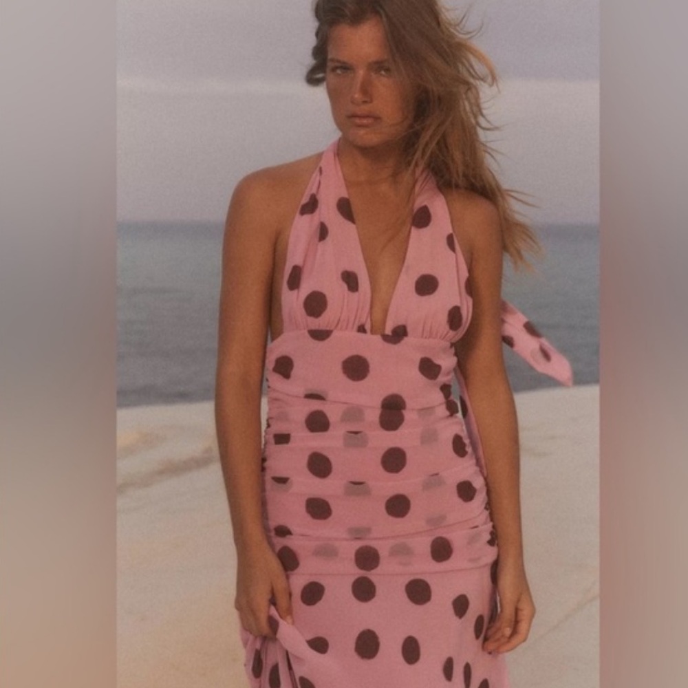 Zara Pink and Brown Polka Dot Backless Dress